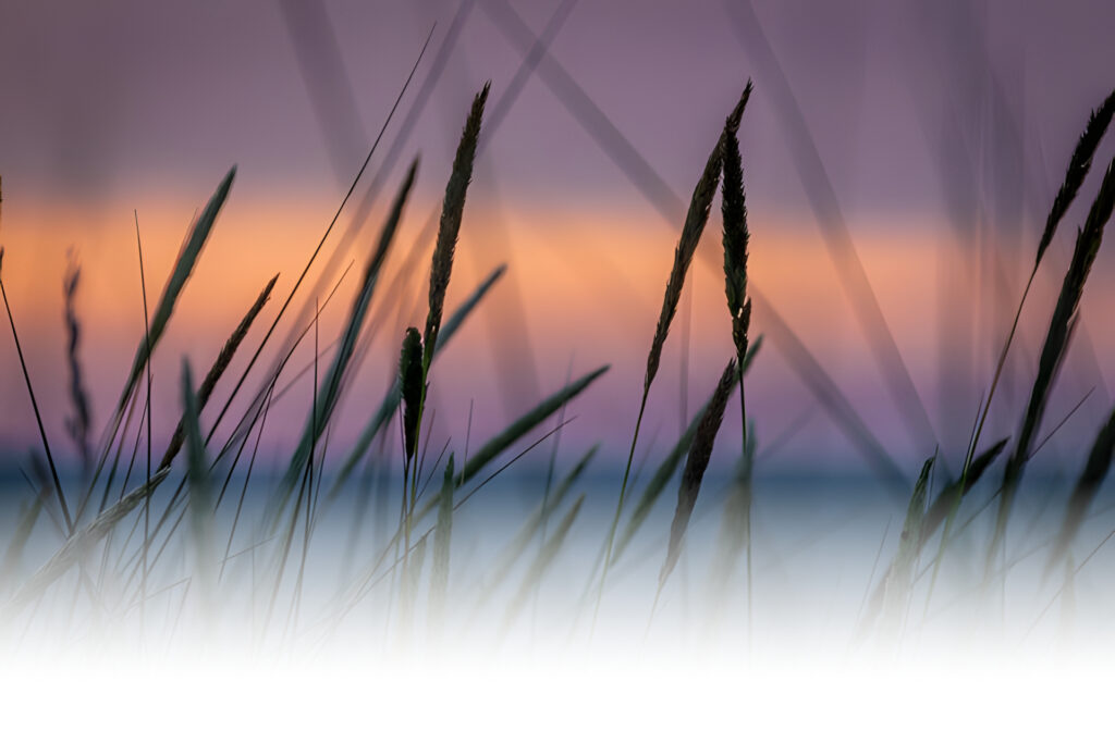 Balade crépusculaire été 2025 - Image en avant - Commune de Peyre en Aubrac en Lozère