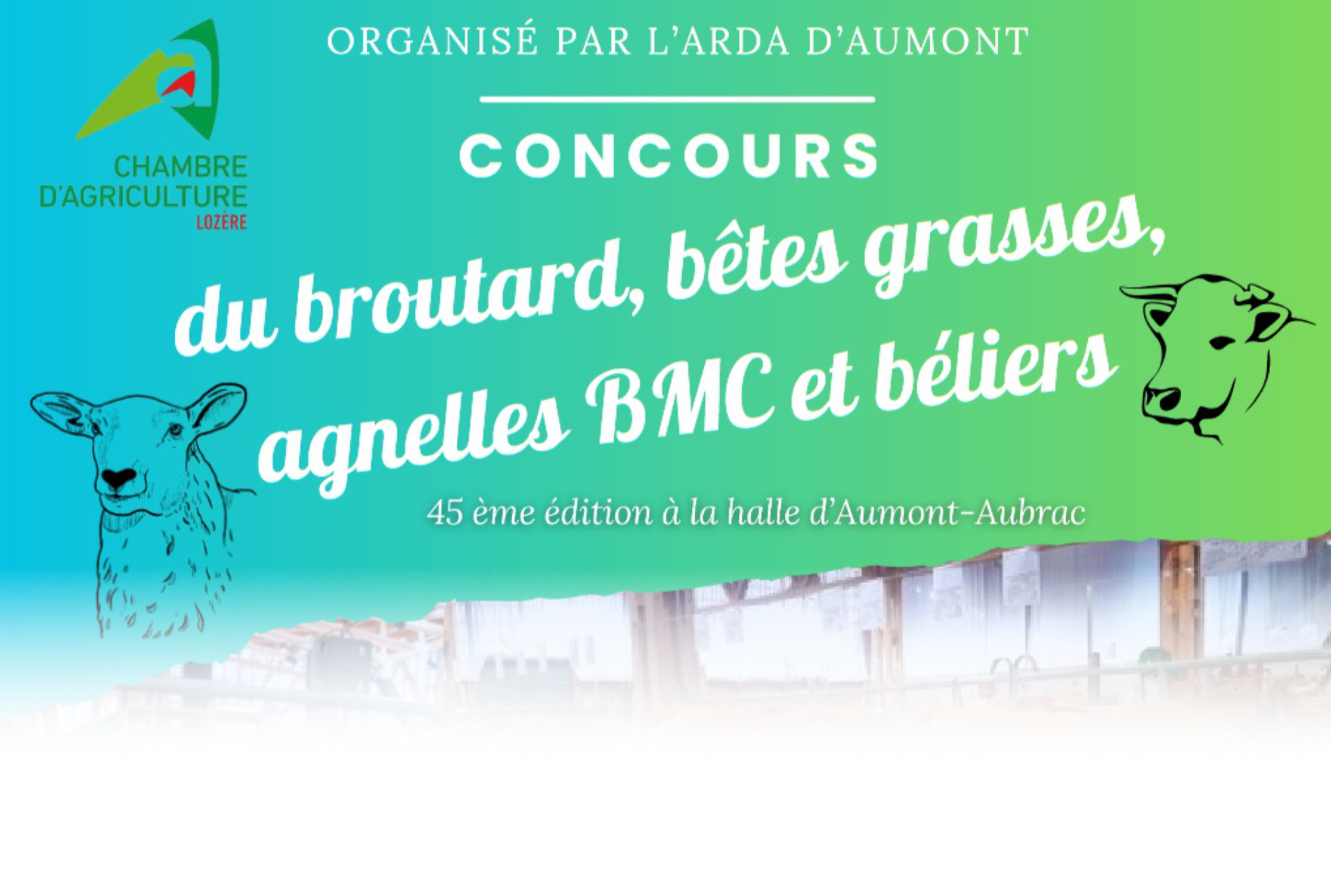 Concours du broutard à Aumont-Aubrac - Commune de Peyre en Aubrac