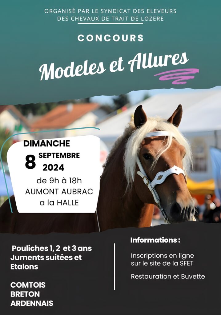 Concours chevaux de trait à Aumont-Aubrac - Commune de Peyre en Aubrac en Lozère.