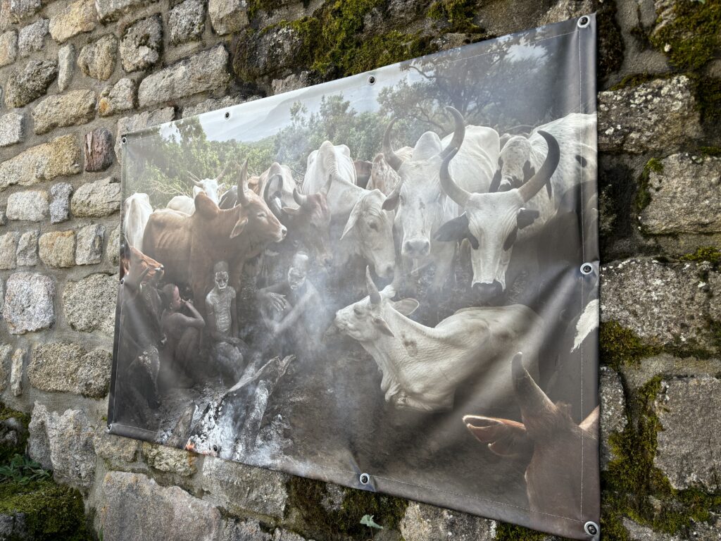 Exposition Hans Silvester à Aumont-Aubrac 3 - Commune de Peyre en Aubrac en Lozère