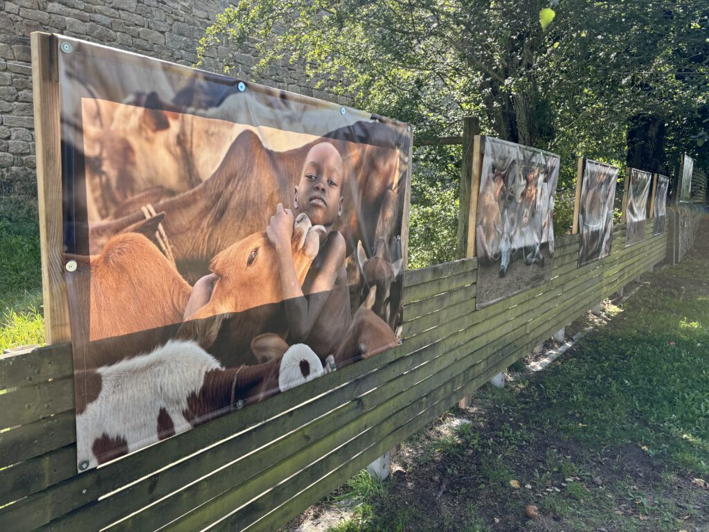 Exposition Hans Silvester à Aumont-Aubrac - Commune de Peyre en Aubrac en Lozère