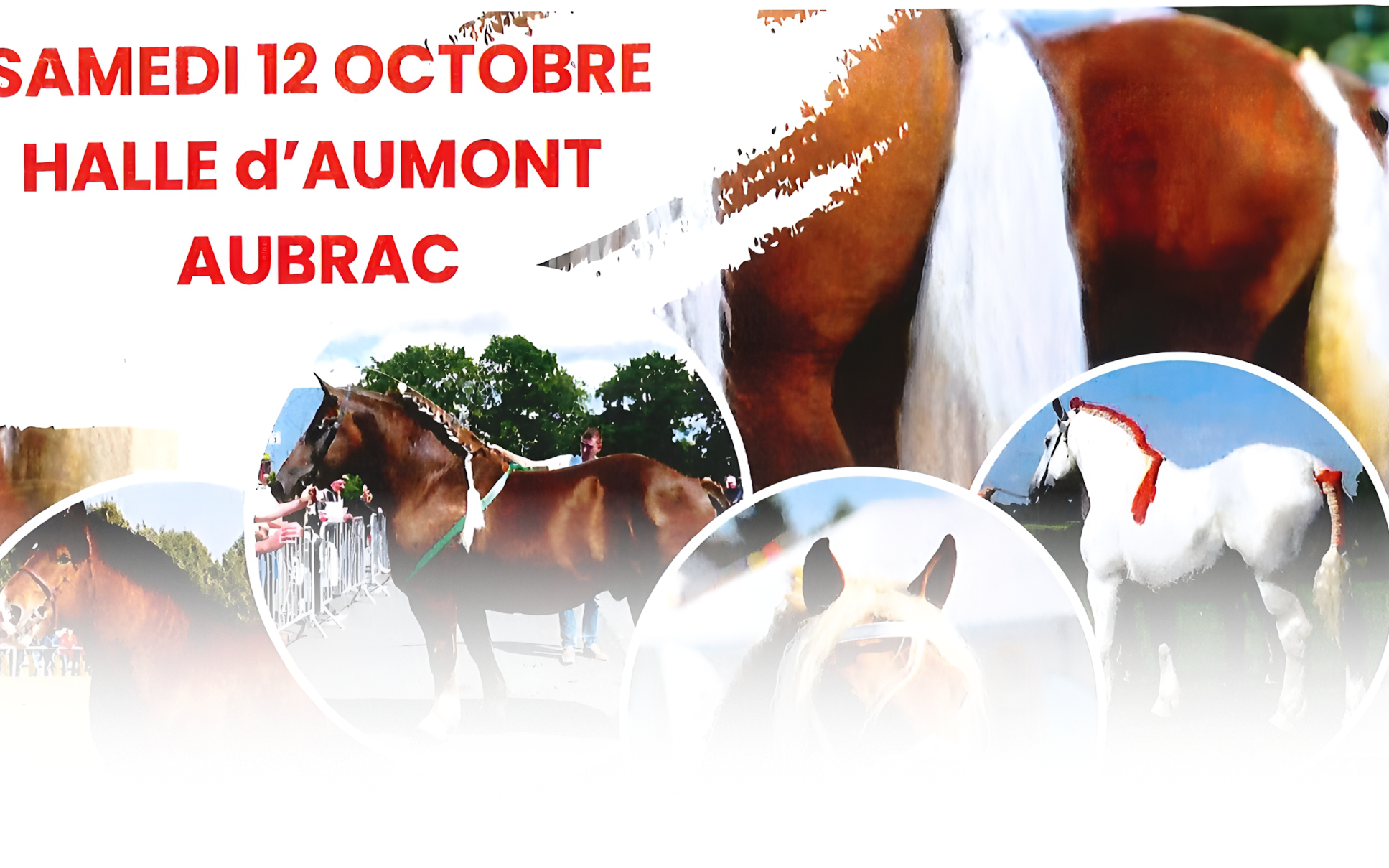 Concours chevaux de trait image en avant - Commune de Peyre en Aubrac en Lozère