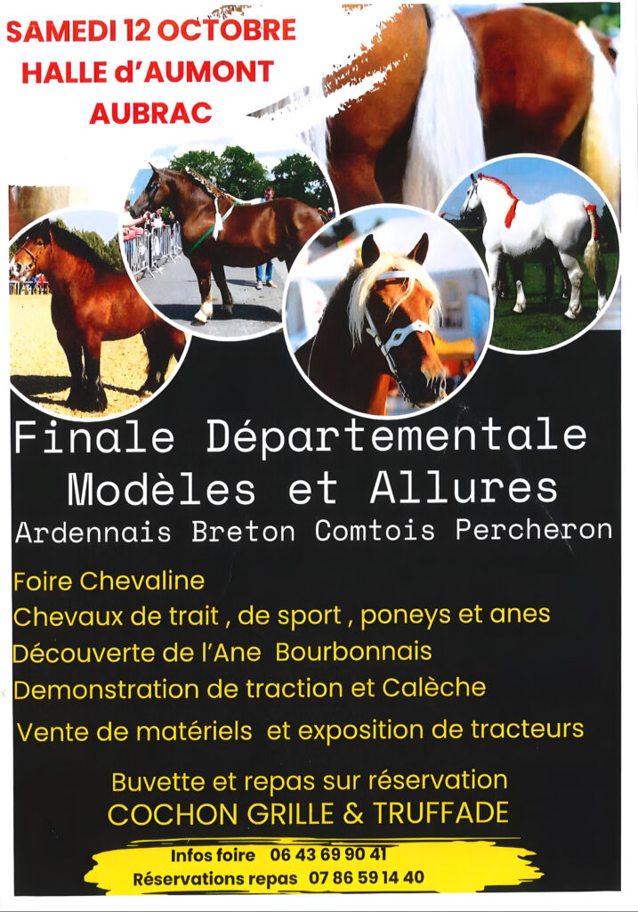 Concours chevaux de trait - Commune de Peyre en Aubrac en Lozère