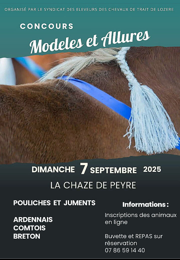 Concours de chevaux à La Chaze de Peyre - Commune de Peyre en Aubrac en Lozère
