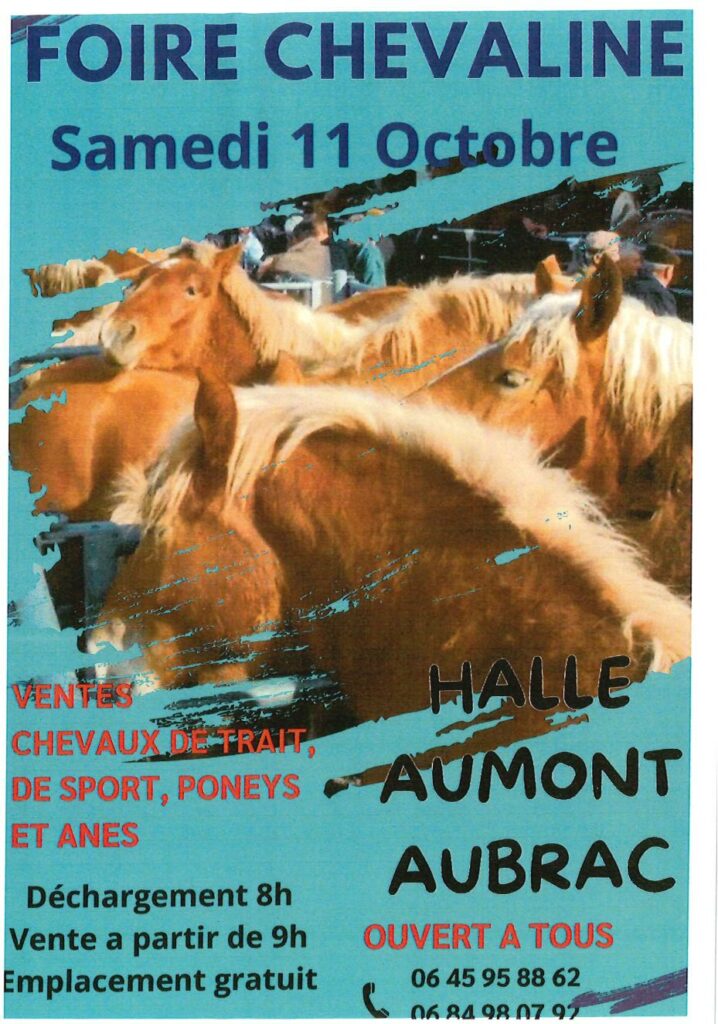 Foire chevaline à la Grande Halle d'Aumont-Aubrac le 11/10/2025 - Commune de Peyre en Aubrac en Lozère.