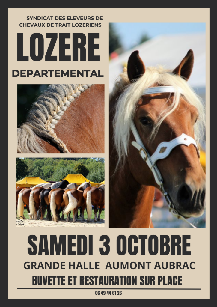 Concours chevaux de trait à la grande halle d'Aumont-Aubrac le 3/10/2026 - Commune de Peyre en Aubrac en Lozère