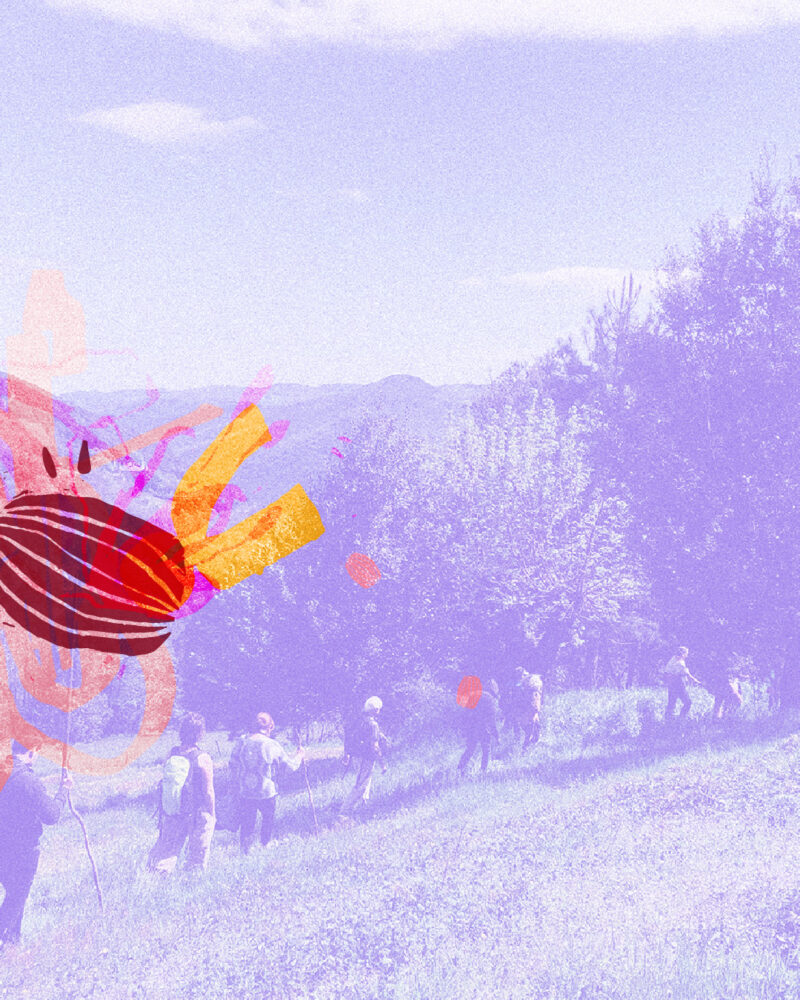 Image 0 : OUÏSSEZ-VOIR