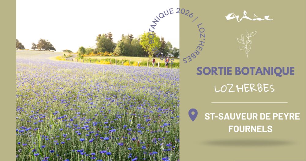 Image 0 : SORTIE BOTANIQUE ST SAUVEUR